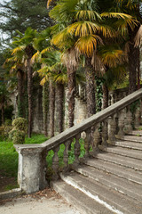 beautiful original staircase with a railing of stone in a green park in summer