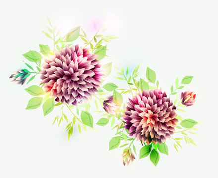 Isolated buquet of purple dahlia flowers. Template for greeting card, vector illustration.