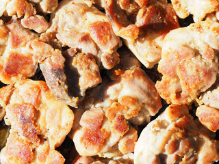Pieces of roasted meat background, sunlight. Top view. Grill, lunch and dinner, culinary or food background. Set of chicken meat barbecue roasted seasoned, close-up, macro