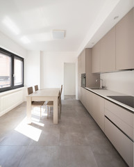 Fototapeta na wymiar Minimal kitchen in a modern apartment