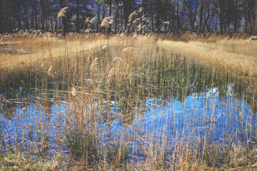 kleiner See mit Spiegelung vom Berg