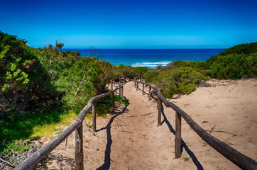 Fototapeta na wymiar path towards the sea through the beach