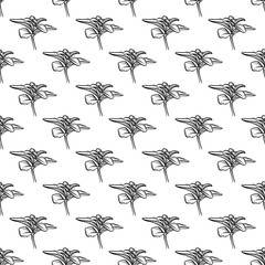 Fototapeta premium Vector hand drawn petunya seamless pattern