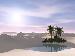 Fototapeta na wymiar oasis at sunset in the sandy desert, 3D rendering 