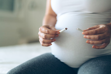 Health minded pregnant woman breaks last cigarette