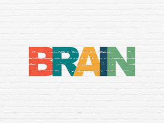 Medicine concept: Painted multicolor text Brain on White Brick wall background