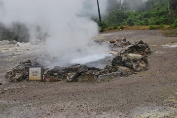 Furnas
