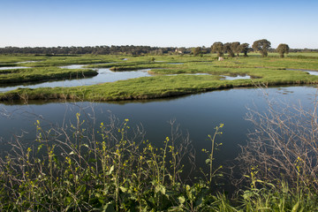 Obraz na płótnie Canvas The Marais Poitevin or Poitevin Marsh