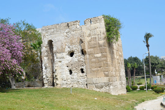 Shllallat old belding