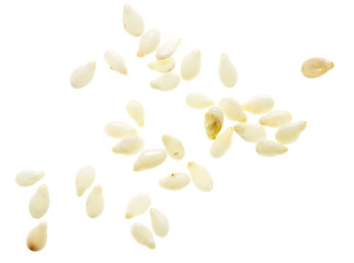 Sesame seeds isolated on white background