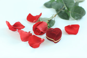red rose, jewelry and petals on white background