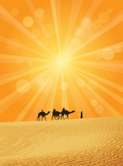 Fototapeta na wymiar Camels on Sahara desert