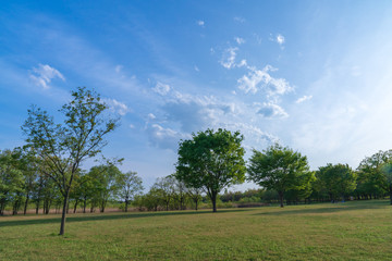 【公園素材】爽やかな公園イメージ