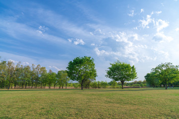 【公園素材】爽やかな公園イメージ