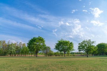 【公園素材】爽やかな公園イメージ
