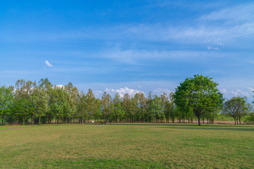 【公園素材】爽やかな公園イメージ