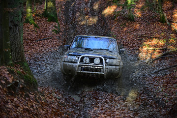 Dirty offroad car with fall forest on background © Volodymyr
