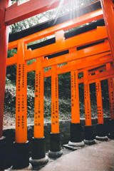 Fushimi Inari-taisha