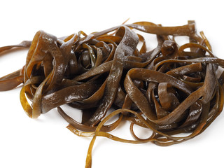 Thongweed – Sea thong – Sea spaghetti – Espagheti de mar

Sea spaghetti is a brown algae. Binomial name: Himanthalia elongata. It is an edible seaweed.