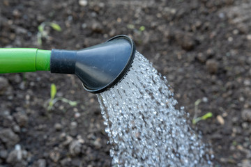 Giesskanne mit Wasser für das Beet