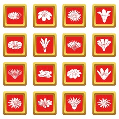 Fototapeta na wymiar Detailed flower icons set red square vector