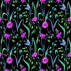 Seamless pattern from cornflowers, cereals and insects, watercolor pattern on a black background.