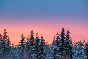 Colorful sky after sunset in winter landscape