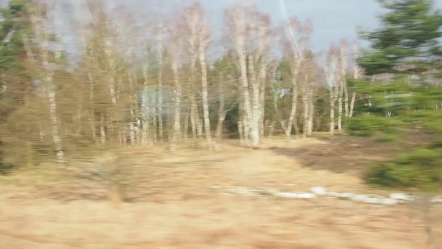 Vista a trav&eacute;s de la ventana de un tren de bosques de hoja caduca y perenne y prados. Alemania.