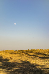 La lune au-dessus des champs
