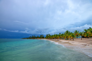 Ocean and tropical coastline in Dominican Republic