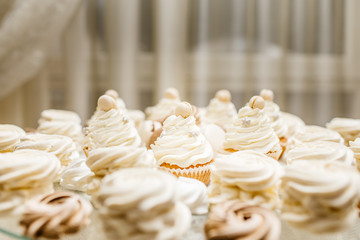 Candy bar with macarons, cakes, cheesecakes, cake pops. Colorful