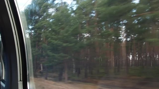 Paisaje boscoso visto desde la ventana de un tren. Alemania.