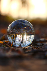 A glass ball with Autumn scenery reflection