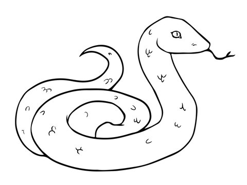 Cartoon  Black and White Illustration of Snake
