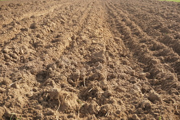 plowed field on a bright day