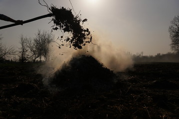 dry leaves burning hazard 