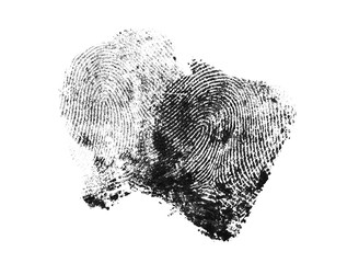 Two fingerprints on a white background