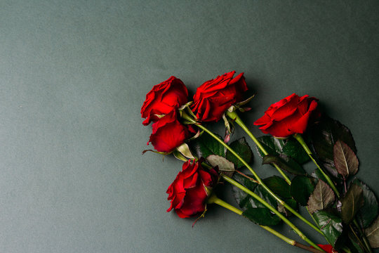 red roses on a green background, green leaves