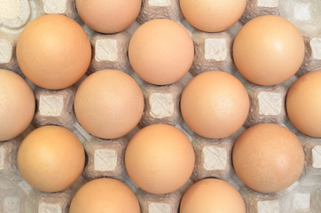 Brown eggs in a cardboard tray for eggs.
