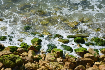 Mossy rocks next to water