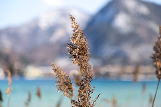Erolung Images – Browse 33 Stock Photos, Vectors, and Video | Adobe Stock