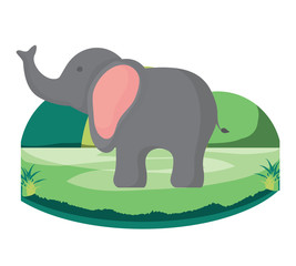 cute elephant on the grass over white background, colorful design. vector illustration