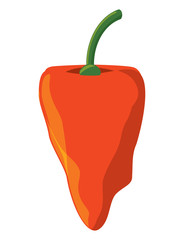 habanero chili pepper icon over white background, colorful design. vector illustration