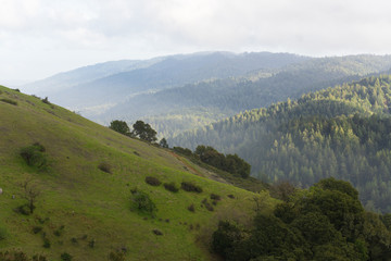 Afternoon sunlight hits the hazy hills of Monte Bello near Palo Alto after a morning rain storm