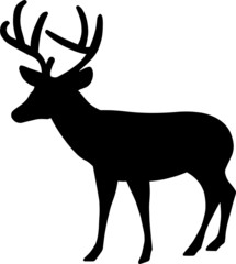 Wild Stag