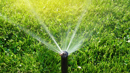 Working smart garden activated with full automatic sprinkler irrigation system working early in the...