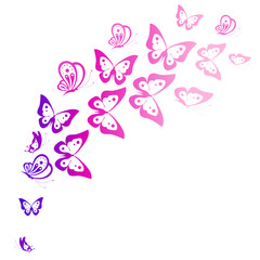 beautiful pink butterflies, isolated  on a white