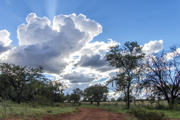 Obraz premium African clouds