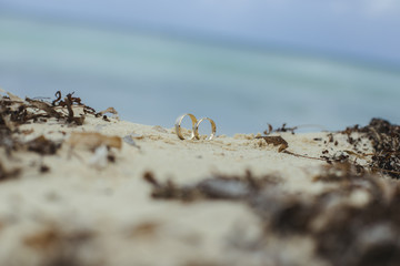 Anillos