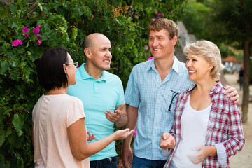  Portrait of mature cheerful males and females talking outdoors